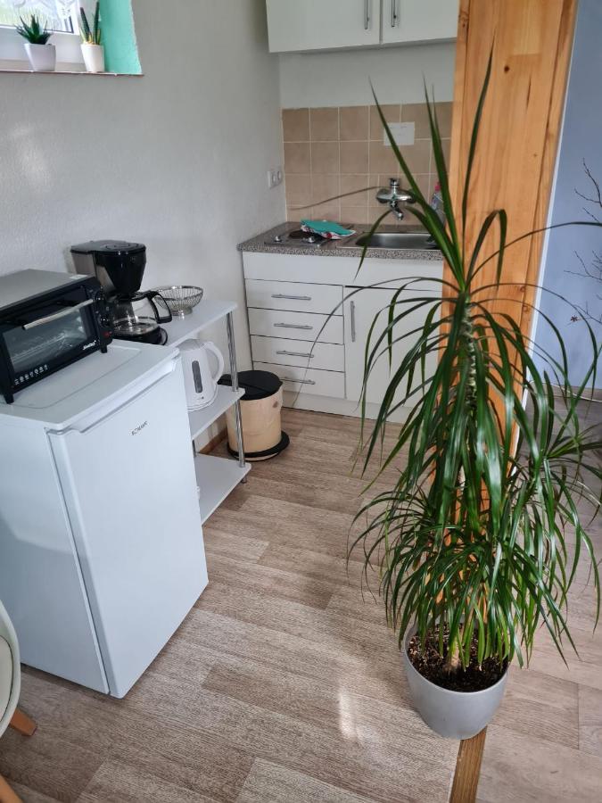 Haus Am Waldesrand Διαμέρισμα Tanne Εξωτερικό φωτογραφία